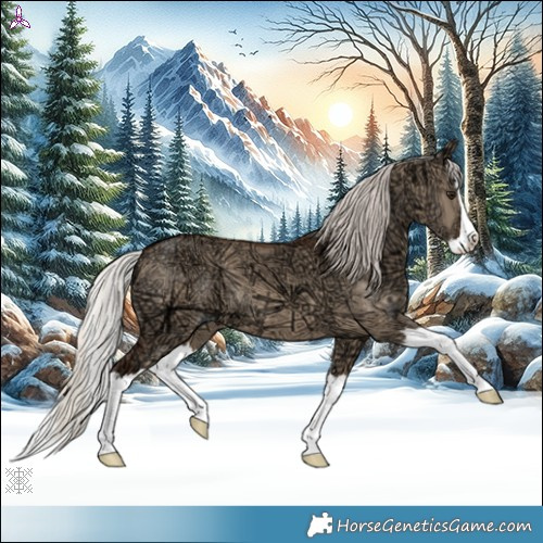 Horse Color:Silver Bay Ice Dun Splash