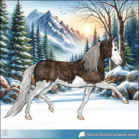 Horse Color:Silver Bay Ice Dun Splash 