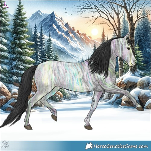 Horse Color:Black Ice