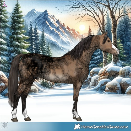 Horse Color:Bay Ice Dun 