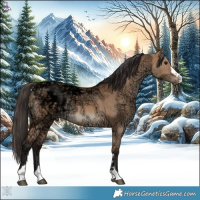 Horse Color:Bay Ice Dun