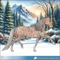 Horse Color:Silver Bay Ice 
