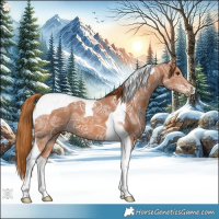 Horse Color:Chestnut Ice Tobiano 