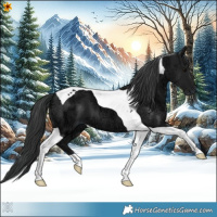 Horse Color:Black Ice Tobiano 