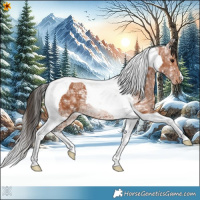 Horse Color:Bay Ice Tobiano 
