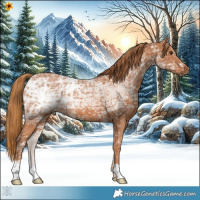 Horse Color:Chestnut Ice 