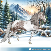Horse Color:Silver Black Ice Splash Tobiano 
