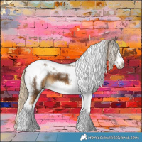 Horse Color:Chocolate Palomino Tobiano Frame 