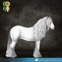 Horse Color:Smoky Black Tobiano Frame 