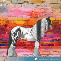 Horse Color:Black Tobiano Near Leopard 