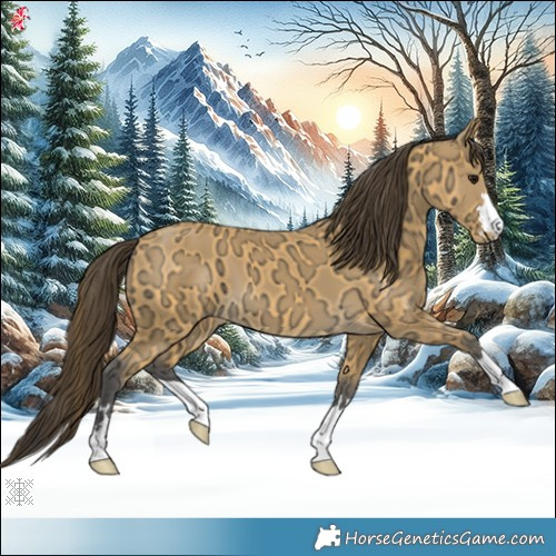 Horse Color:Buckskin Ice 