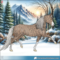 Horse Color:Silver Amber Champagne Ice 