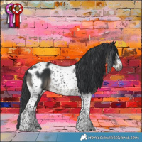 Horse Color:Black Tobiano Frame 