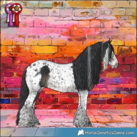 Horse Color:Black Tobiano Frame
