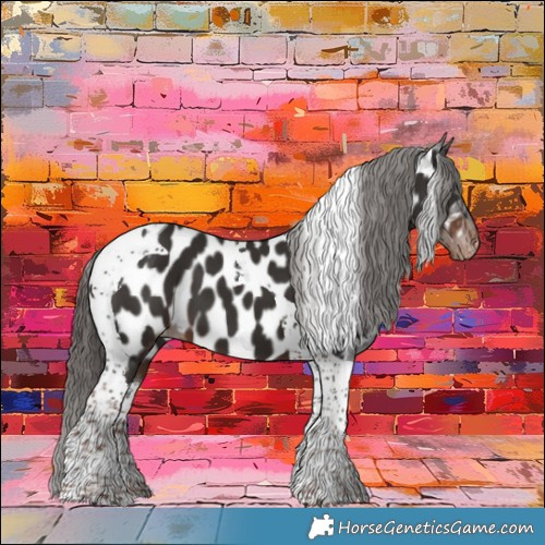 Horse Color:Liver Chestnut Tobiano Appaloosa 