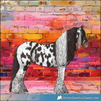 Horse Color:Liver Chestnut Tobiano Appaloosa 