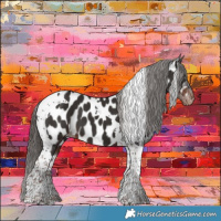 Horse Color:Liver Chestnut Tobiano Near Leopard 