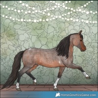 Horse Color:Brown Roan Tobiano 