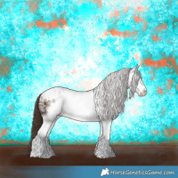 Horse Color:Liver Chestnut Sabino Frame Appaloosa 