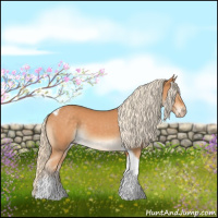 Horse Color:Gray Cremello Tobiano