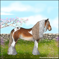 Horse Color:Gray Chocolate Palomino Tobiano 