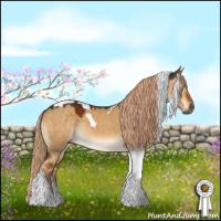 Horse Color:Gray Chocolate Palomino Dun Tobiano 