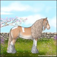 Horse Color:Gray Cremello Tobiano 