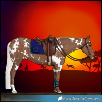 Horse Color:White Spotted Silver Black 