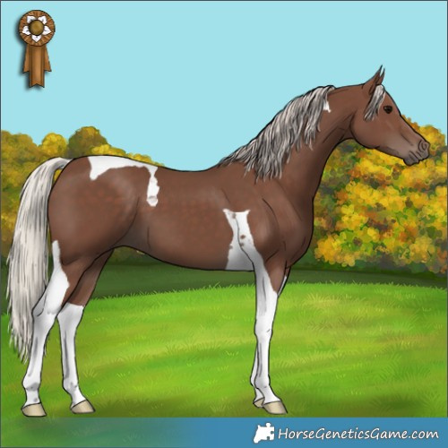 Horse Color:Silver Black Tobiano