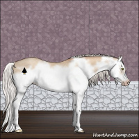 Horse Color:Silver Classic Champagne Dun Splash Frame 
