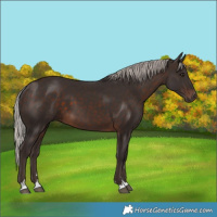 Horse Color:Silver Brown 