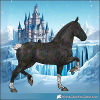 Horse Color:Midnight Silver Brown Ice Pearl Dun Tobiano