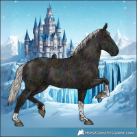 Horse Color:Midnight Silver Brown Ice Pearl Dun Tobiano 