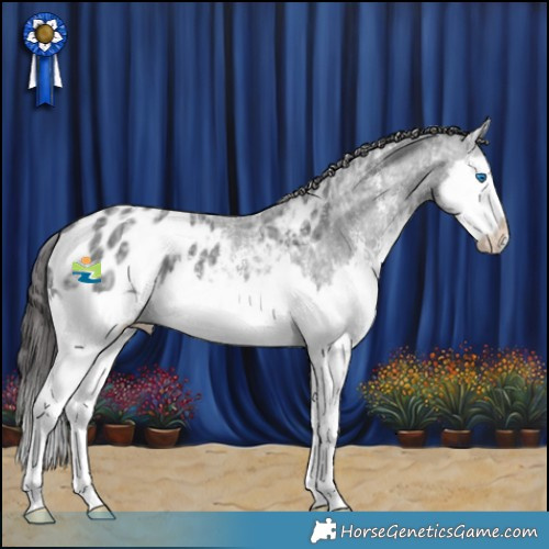 Horse Color:Black Ice Sabino Splash Appaloosa 