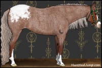 Horse Color:Chocolate Silver Brown Roan Sabino Snowcap 