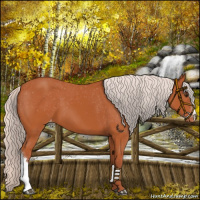Horse Color:Chocolate Silver Bay Varnish 