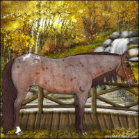 Horse Color:Chocolate Brown Roan Varnish 