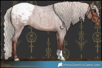 Horse Color:Chocolate Silver Brown Roan Snowcap 