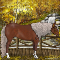 Horse Color:Chocolate Silver Brown 