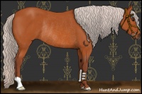 Horse Color:Chocolate Silver Bay Rabicano 