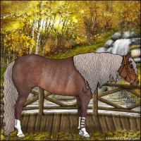 Horse Color:Chocolate Silver Brown Rabicano 