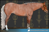 Horse Color:Chocolate Silver Bay Roan 