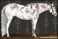 Horse Color:Chocolate Silver Brown Sabino 