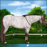Horse Color:Chocolate Brown Roan 