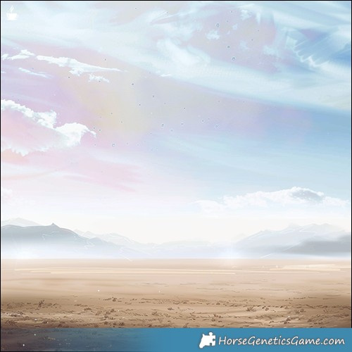 Horse Color:Buckskin Sabino 