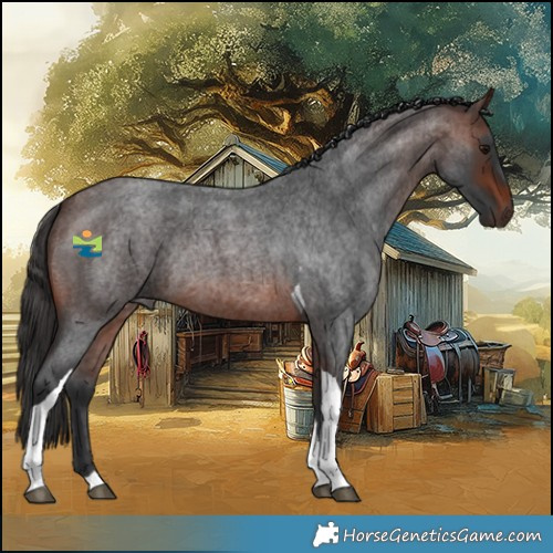 Horse Color:Brown Roan Tobiano Rabicano 