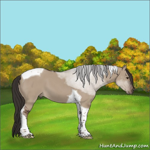 Horse Color:Liver Red Dun Sabino Tobiano 