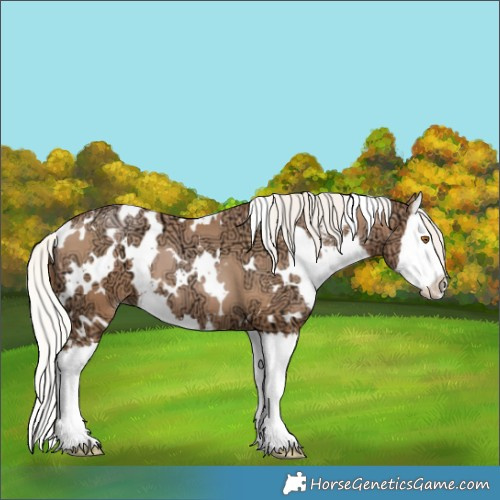 Horse Color:White Spotted Silver Black Ice Pearl Sabino Splash 