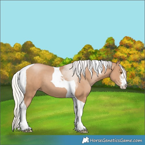 Horse Color:White Spotted Silver Black Pearl Tobiano 