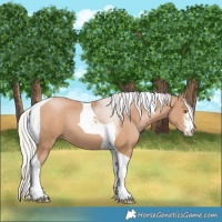 Horse Color:White Spotted Silver Black Pearl Tobiano 